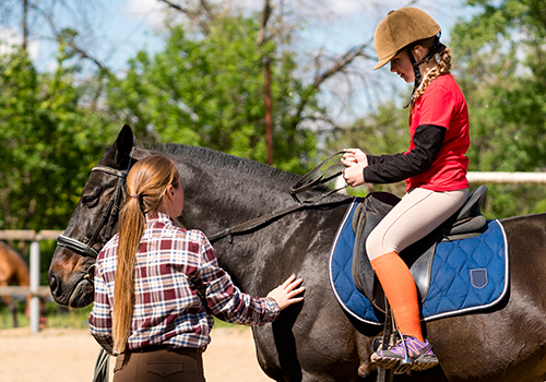 Een persoon poetst de tanden van een kleine witte en bruine hond met een rode tandenborstel.