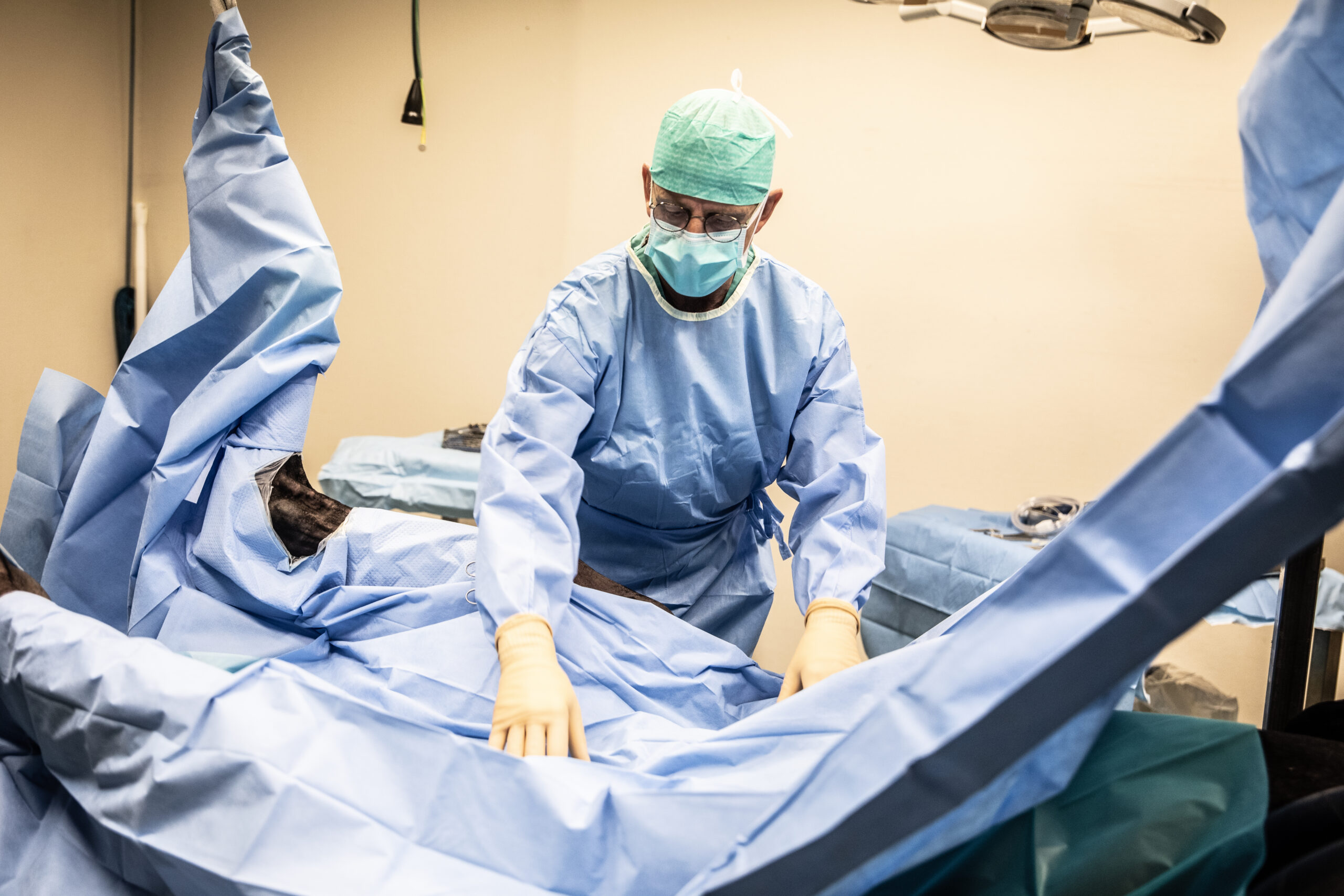 Een persoon poetst de tanden van een kleine witte en bruine hond met een rode tandenborstel.